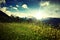 Sunrise over an alpine plateau or meadow