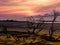 Sunrise Over a Barrier Island Scenic Beach