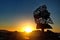 Sunrise over the bay, silhouetting a statue