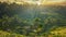 Sunrise over beautiful terraced rice paddies in Bali.