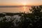 Sunrise over Caribbean Sea and Mangroves