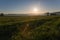 Sunrise over Dandelions and Countryside Fields with Dew Drops in