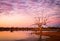 Sunrise over a dead tree on the bank of Lake Pinaroo in Sturt National Park in outback Australia