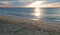 Sunrise over driftwood on beach in San Jose Del Cabo in Baja California Mexico