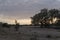 Sunrise over the dry swakop river in Namibia