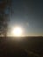 Sunrise over the field. autumn empty brown field, next to a birch tree.