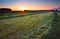 Sunrise over green haymaking