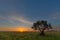 Sunrise over green veld