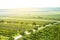 Sunrise over green vineyards, Moravia