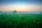 Sunrise over the high green grass. The Tver country. Sunny summer morning, July. Beautiful landscape. Agricultural landscape in th