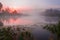 Sunrise over the lake with reflection of bare trees in the water.