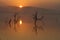 Sunrise over Mankwe Dam in Pilanesberg National Park