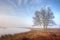 Sunrise over a misty lake