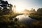 Sunrise over the misty swamp in the morning with fog on the water