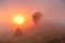 Sunrise over mountain field. Haystacks in misty autumn morning h