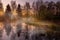 Sunrise over a pond in Bavaria with rising mist