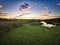 Sunrise over pond with green lilies