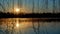 Sunrise over pond with waterfowl blurred background