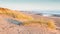 Sunrise over sand dunes, Northumberland. England.