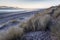 Sunrise over sand dunes, Northumberland. England.