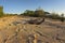 Sunrise Over A Sandy Beach With Driftwood, Fish Eye View