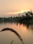 Sunrise over serene tropical lake