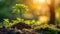 Sunrise over Small Tree in Panoramic Green World - Earth Day Concept