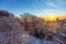 Sunrise over snow-covered forest