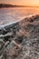 Sunrise over a stony bank of freezing river covered in fog