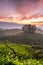 Sunrise over tea plantations in Munnar