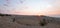 Sunrise over Teacup Canyon / Bowl on Sykes Ridge in the Pryor Mountains on the Wyoming Montana border - USA