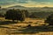 Sunrise over trees, foothills and mountains