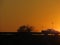 Sunrise over trees with yellow sky and vehicle on road in front