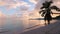 Sunrise over tropical beach and palm tree. Morning on exotic Caribbean island.