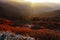 Sunrise over valley, Lungthang, Sikkim