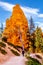 Sunrise over the Vermilion Colored Hoodoos along the Navajo Trail in Bryce Canyon