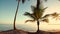 Sunrise and palm tree on the tropical island beach. Punta Cana.