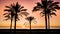 Sunrise between palms by the Mediterranean Sea  in Cullera, Valencia