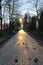 Sunrise in the park. Beautiful landscape view of Khreshchaty Park. the sun is reflected off the gray stone walkway