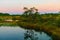 sunrise picture with a gorgeous sky, a marsh at sunrise, a moon setting in the sky, dark silhouettes of marsh trees in the morning