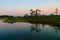 sunrise picture with a gorgeous sky, a marsh at sunrise, a moon setting in the sky, dark silhouettes of marsh trees in the morning