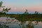 sunrise picture with a gorgeous sky, a marsh at sunrise, a moon setting in the sky, dark silhouettes of marsh trees in the morning