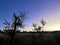 Sunrise in a Pilbara mining camp