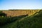 Sunrise on Pouce Coupe historic railroad trestle