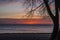 Sunrise at Pratt Beach with flying gull, Chicago