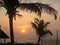 Sunrise at Promenade Beach with Coconut Trees and Hut, Pondicherry, India