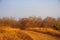 Sunrise, Ranthambore National Park. Vibrant landscape coloured orange and red in dry grassland area.