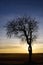 Sunrise with red and blue sky and clouds as well as a bare lonely apple tree in winter with gnarled branches in Germany in