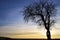 Sunrise with red and blue sky and clouds as well as a bare lonely apple tree in winter with gnarled branches in Germany in