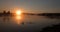 Sunrise reflecting though early morning mist on Trumpeter Swans and Canadian Geese in the Yellowstone River in the Hayden Valley